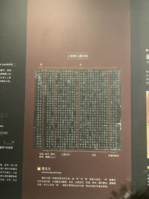 上官婉儿墓志与考古展览说明